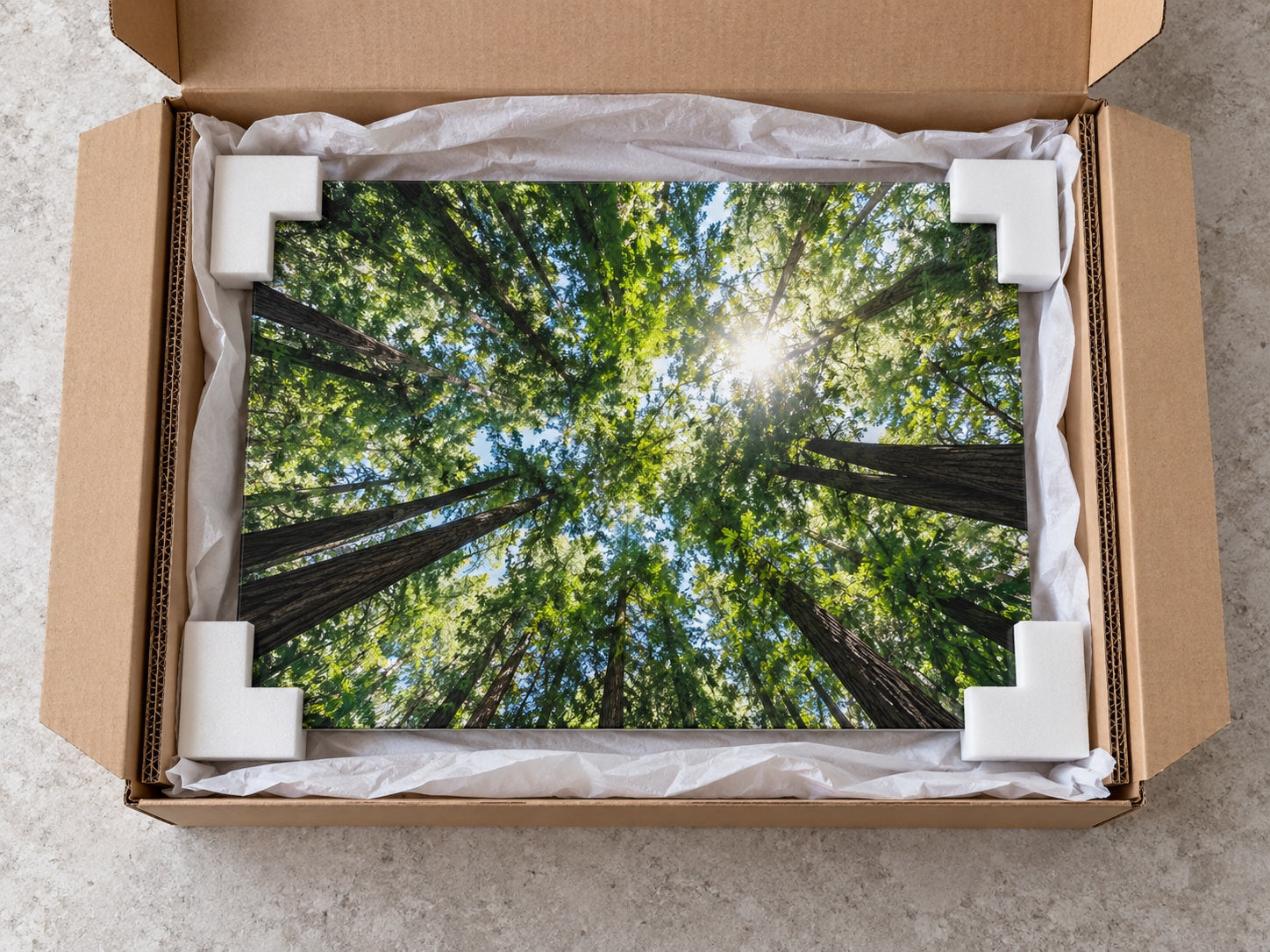 A forest canopy metal print protected by corner blocks inside a kraft box